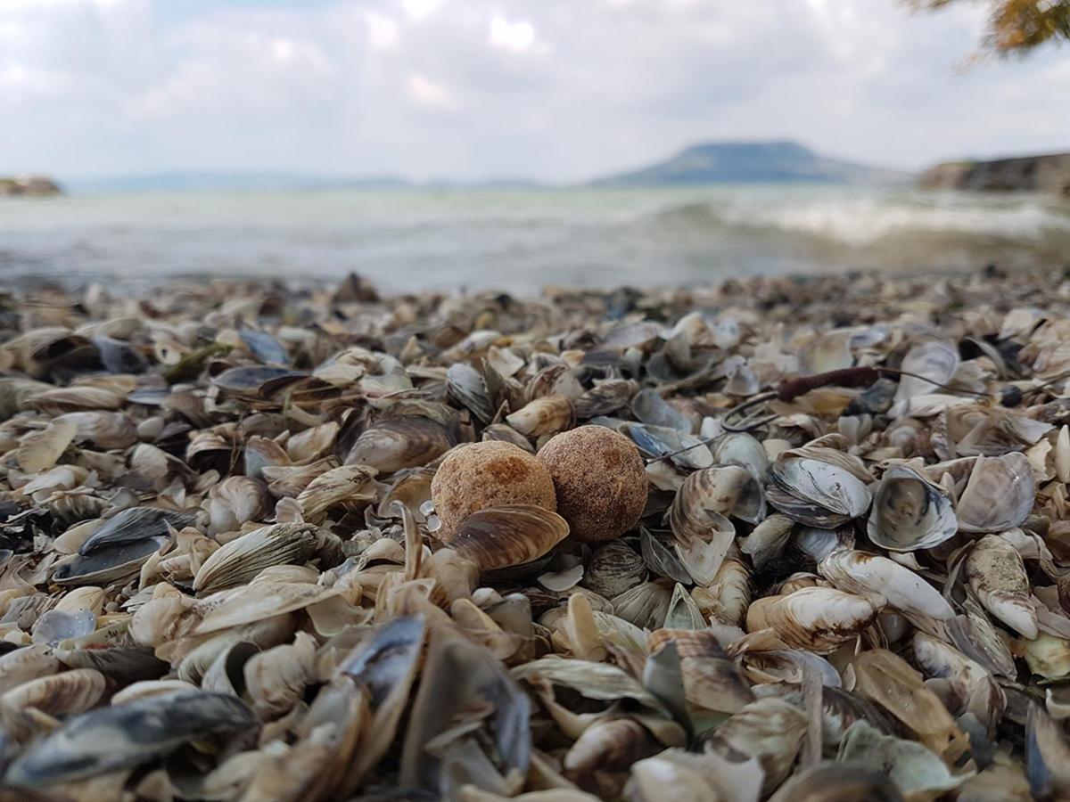Vizparti Nyaralo Villa Fonyód Buitenkant foto