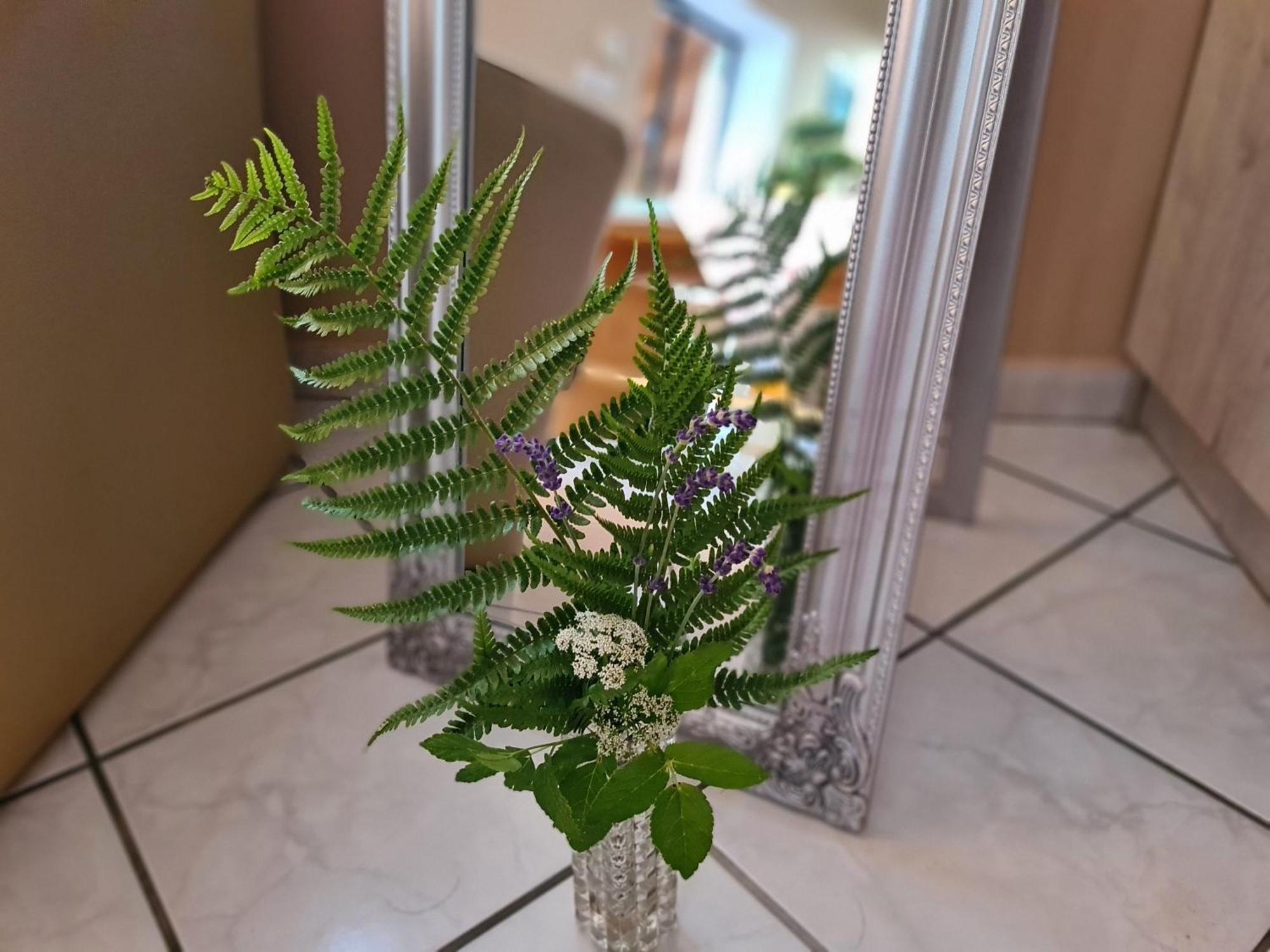 Vizparti Nyaralo Villa Fonyód Buitenkant foto
