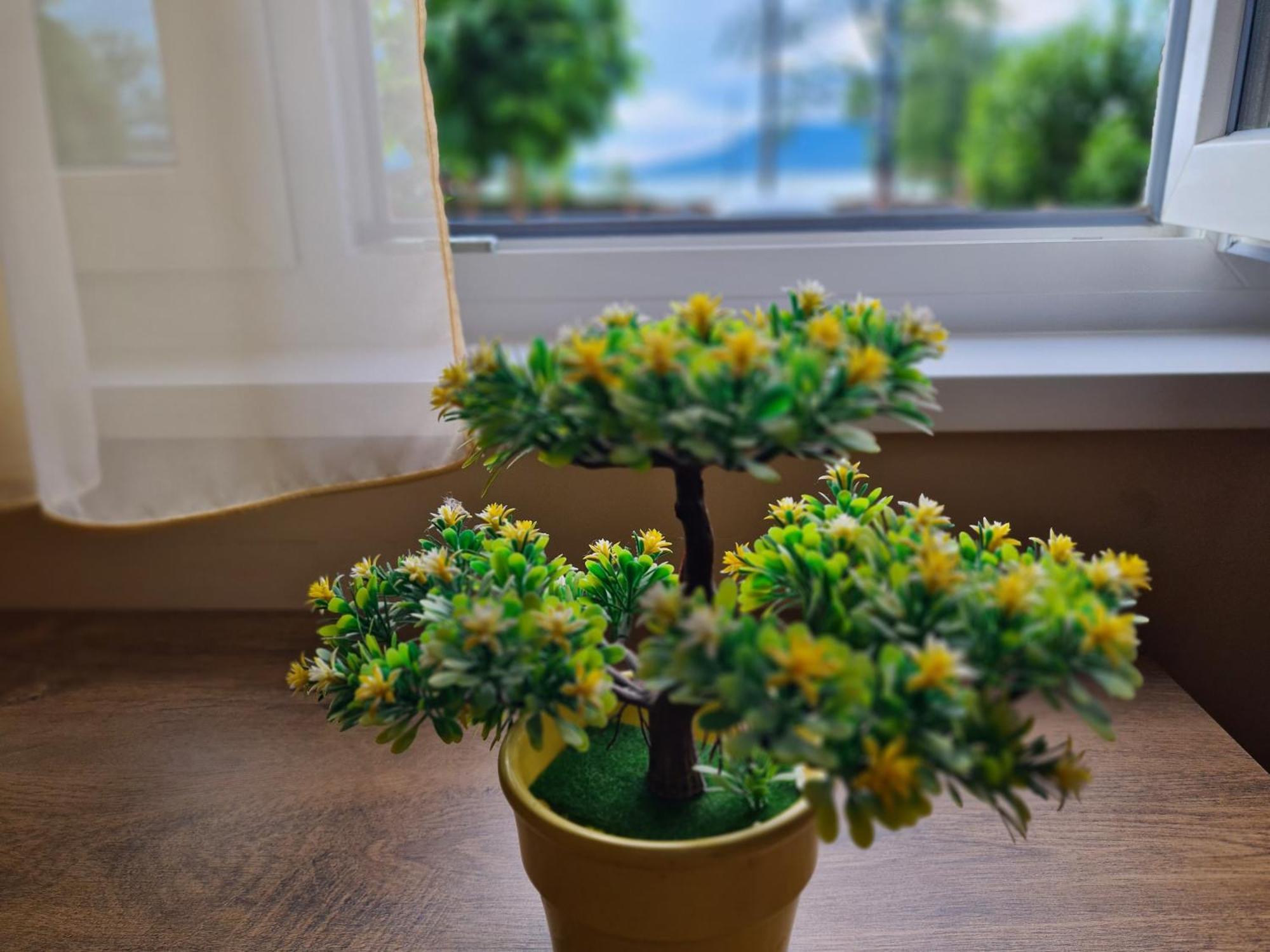 Vizparti Nyaralo Villa Fonyód Buitenkant foto